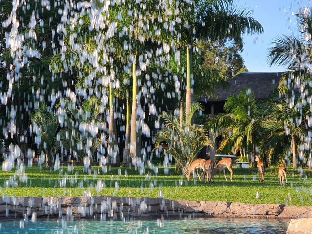 Benka Lifestyle Country Cottages เอซูลวินิ ภายนอก รูปภาพ