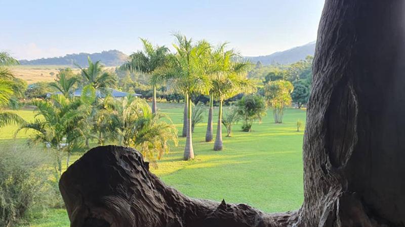 Benka Lifestyle Country Cottages เอซูลวินิ ภายนอก รูปภาพ