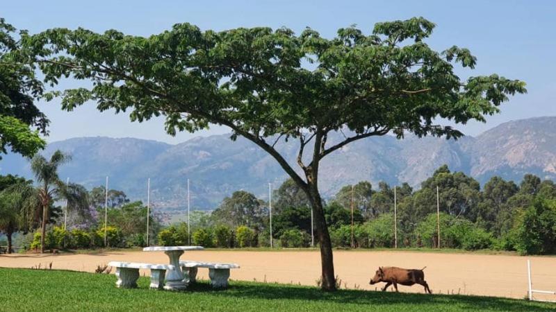 Benka Lifestyle Country Cottages เอซูลวินิ ภายนอก รูปภาพ